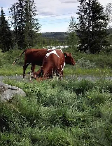 Unique With Fantastic View, Sauna, & Ev Outlet Semesterbostad