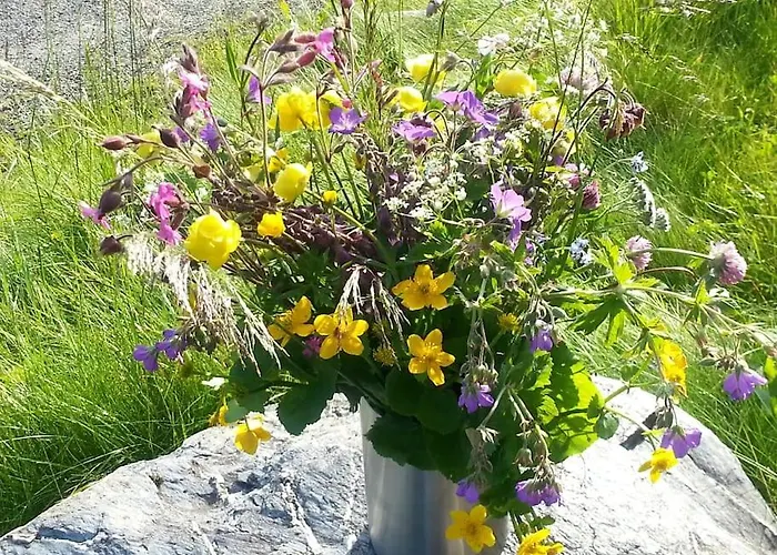 Semesterbostad Unique With Fantastic View, Sauna, & Ev Outlet *