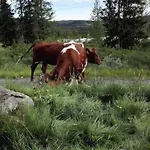 Unique With Fantastic View, Sauna, & Ev Outlet Holiday home