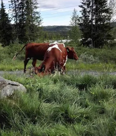 Unique With Fantastic View, Sauna, & Ev Outlet Nyaraló