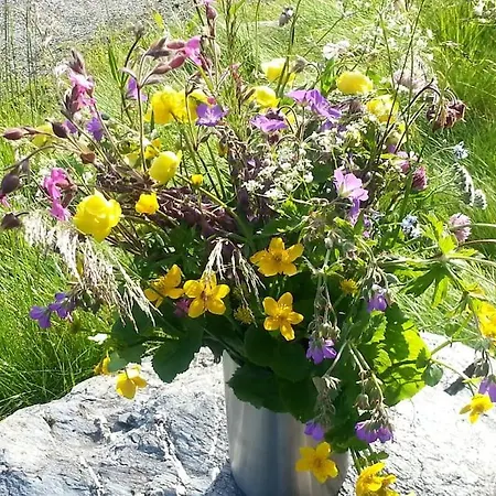 Nyaraló Unique With Fantastic View, Sauna, & Ev Outlet *